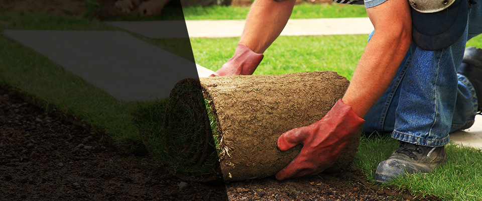 Lineville Landscapers